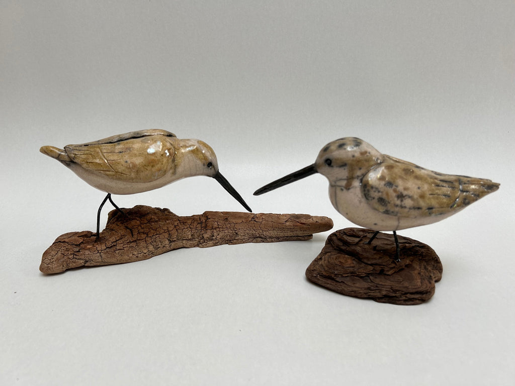 Frédérique Delcourt Bécasseaux de Sanderling